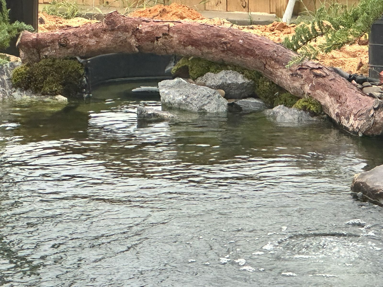 Stone arch bridge over a pond