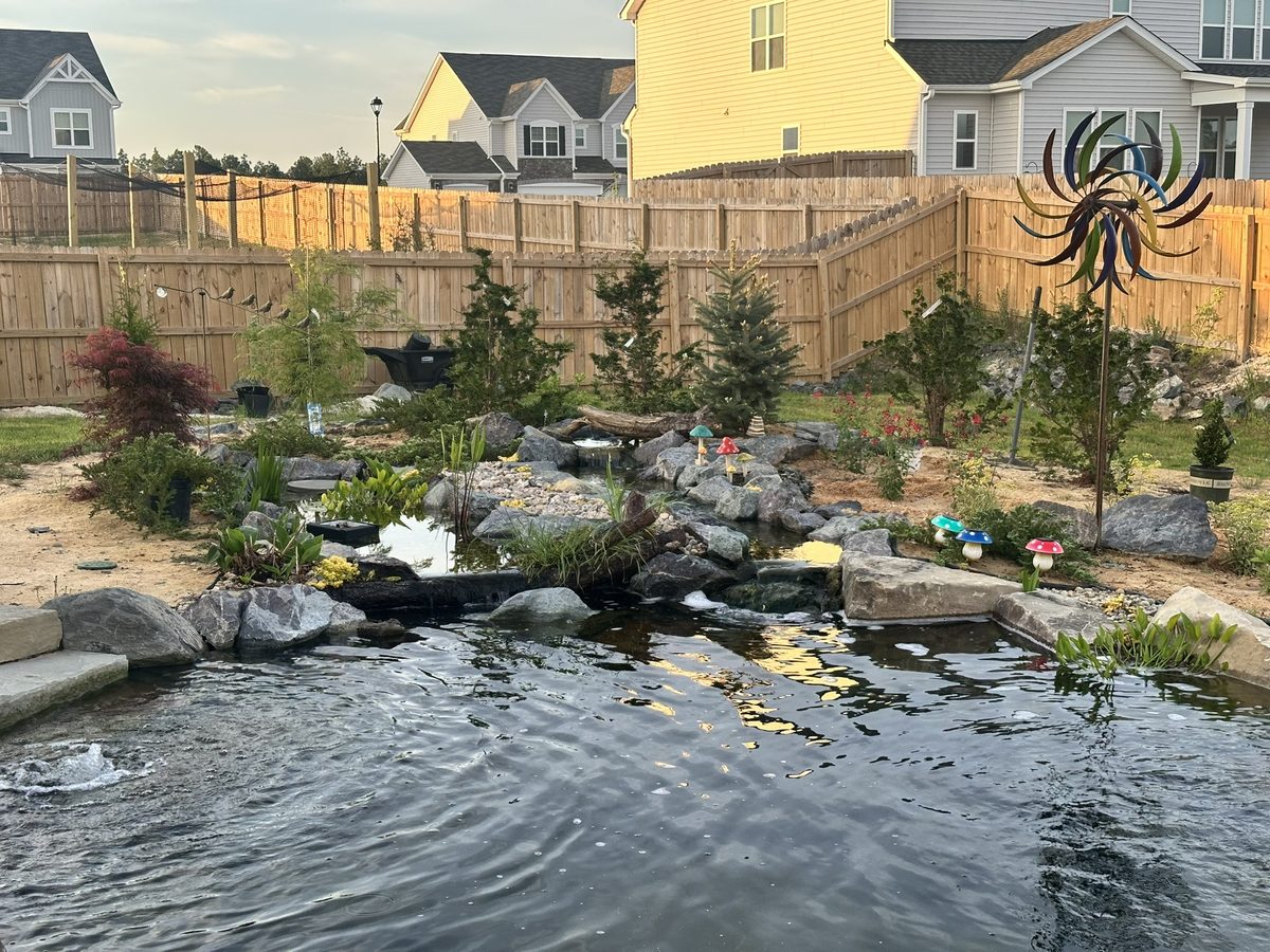 Finished living ecosystem pond